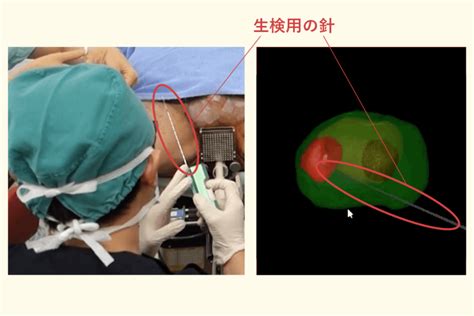 前立腺 エッチ|前立腺のエロ動画検索結果